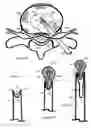 Fig. 10 - Method for relieving pain and regenerating intervertebral disc