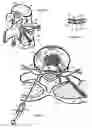 Fig. 18 - Method for relieving pain and regenerating intervertebral disc