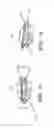 Fig. 12 - Anterior prosthetic spinal disc replacement