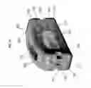 Fig. 25 - Bioactive spinal implants and method of manufacture thereof