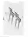 Fig. 32 - Bioactive spinal implants and method of manufacture thereof