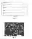 Fig. 52 - Bioactive spinal implants and method of manufacture thereof