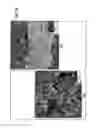 Fig. 53 - Bioactive spinal implants and method of manufacture thereof