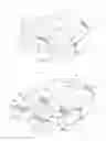 Fig. 06 - Artificial spinal disk prosthesis