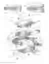 Fig. 10 - Expandable intervertebral implant