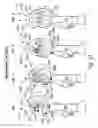 Fig. 37 - Limb prosthesis system and method
