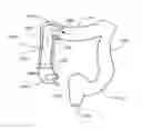 Fig. 01 - Gastrointestinal device with associated commensal microbes