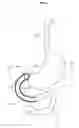 Fig. 02 - Gastrointestinal device with associated commensal microbes