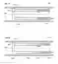 Fig. 09 - Gastrointestinal device with associated microbe-promoting agents