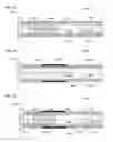 Fig. 11 - Gastrointestinal device with associated microbe-promoting agents