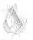 Fig. 05 - Joint orthosis