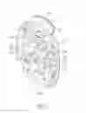 Fig. 07 - Joint orthosis