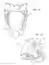 Fig. 06 - ADJUSTABLE COLLAR