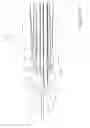 Fig. 12 - Tissue removal devices, systems and methods
