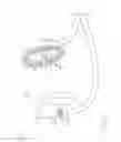 Fig. 05 - EAR PROTECTOR AGAINST MOISTURE