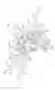 Fig. 07 - Absorbent article with leg cuffs