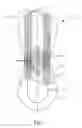 Fig. 02 - MENSTRUAL PANT