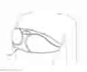 Fig. 01 - Massage device for breasts