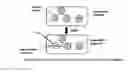 Fig. 01 - Removable adhesion material