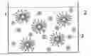 Fig. 01 - Aqueous composition