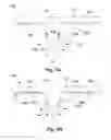 Fig. 09 - Coating method