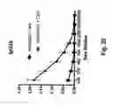 Fig. 26 - Coating method