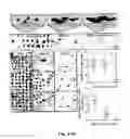 Fig. 28 - Coating method