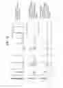 Fig. 04 - CLEAVABLE POLYMERIC MICELLES