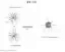 Fig. 16 - CLEAVABLE POLYMERIC MICELLES