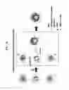 Fig. 22 - CLEAVABLE POLYMERIC MICELLES