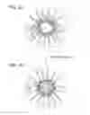 Fig. 03 - Particulate pharmaceutical composition