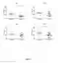 Fig. 02 - COMPOSITIONS AND METHODS FOR THE TREATMENT OF BRAIN INJURY