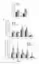 Fig. 12 - COMPOSITIONS AND METHODS FOR THE TREATMENT OF BRAIN INJURY