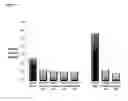 Fig. 05 - Methods of treating liver diseases