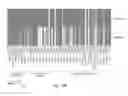 Fig. 17 - CDC7 kinase inhibitors and uses thereof
