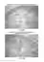 Fig. 26 - CDC7 kinase inhibitors and uses thereof