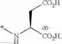 Fig. 12 - Heteroarylcarboxylic acid ester derivative
