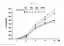 Fig. 11 - PHARMACEUTICAL COMPOSITION FOR PREVENTING OR TREATING OVARY GRANULOSA CELL TUMORS CONTAINING GLYCOGEN SYNTHASE KINASE-3 BETA INHIBITOR AS ACTIVE INGREDIENT, AND FUNCTIONAL HEALTH FOOD COMPOSITION
