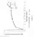 Fig. 16 - METHODS FOR TREATING SENSORIMOTOR IMPAIRMENTS ASSOCIATED WITH CERTAIN TYPES OF STROKE USING AMINOPYRIDINES