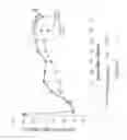 Fig. 17 - METHODS FOR TREATING SENSORIMOTOR IMPAIRMENTS ASSOCIATED WITH CERTAIN TYPES OF STROKE USING AMINOPYRIDINES