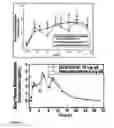 Fig. 04 - Oral pharmaceutical dosage forms