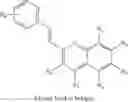 Fig. 14 - TREATMENTS FOR NEUROPATHY