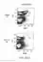 Fig. 24 - Methods for treating hair loss disorders