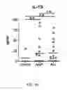 Fig. 31 - Methods for treating hair loss disorders