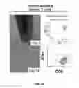 Fig. 53 - Methods for treating hair loss disorders