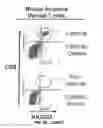 Fig. 55 - Methods for treating hair loss disorders