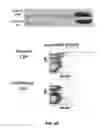Fig. 57 - Methods for treating hair loss disorders