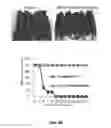 Fig. 65 - Methods for treating hair loss disorders