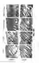 Fig. 78 - Methods for treating hair loss disorders