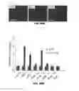 Fig. 84 - Methods for treating hair loss disorders